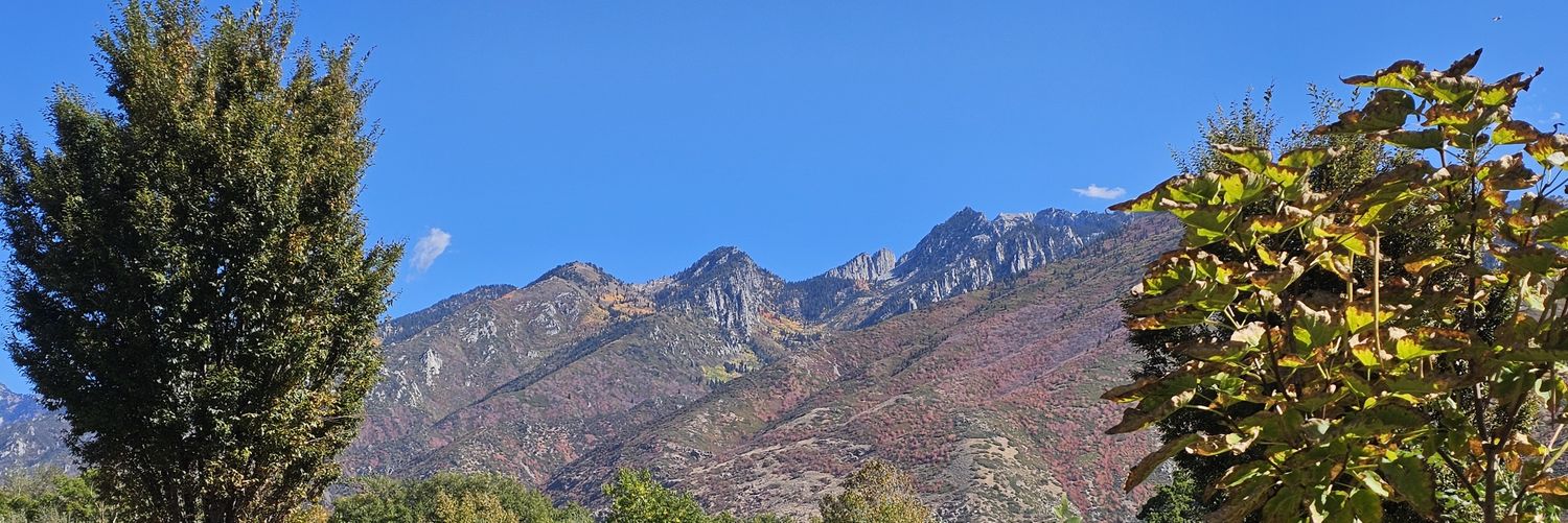 Utahsnoopy's profile banner image