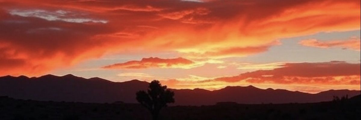 eltioxt's profile banner image