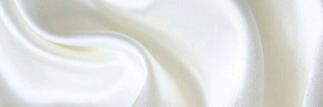 rainemesis's profile banner image