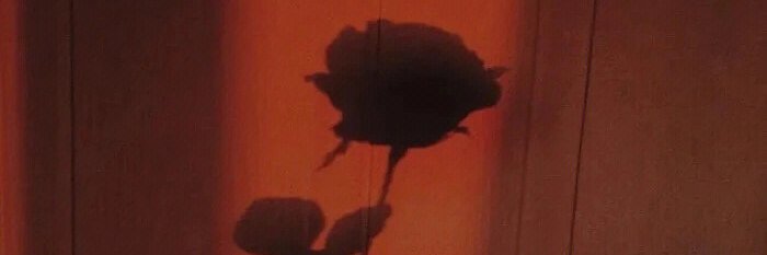 LWH_petty's profile banner image