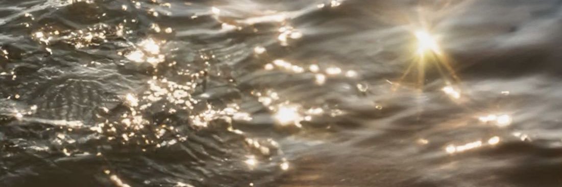 🐣 banner