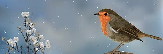 Jesscole_xo's profile banner image