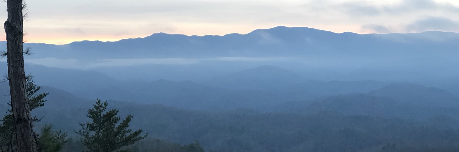 Mikki Parisien banner