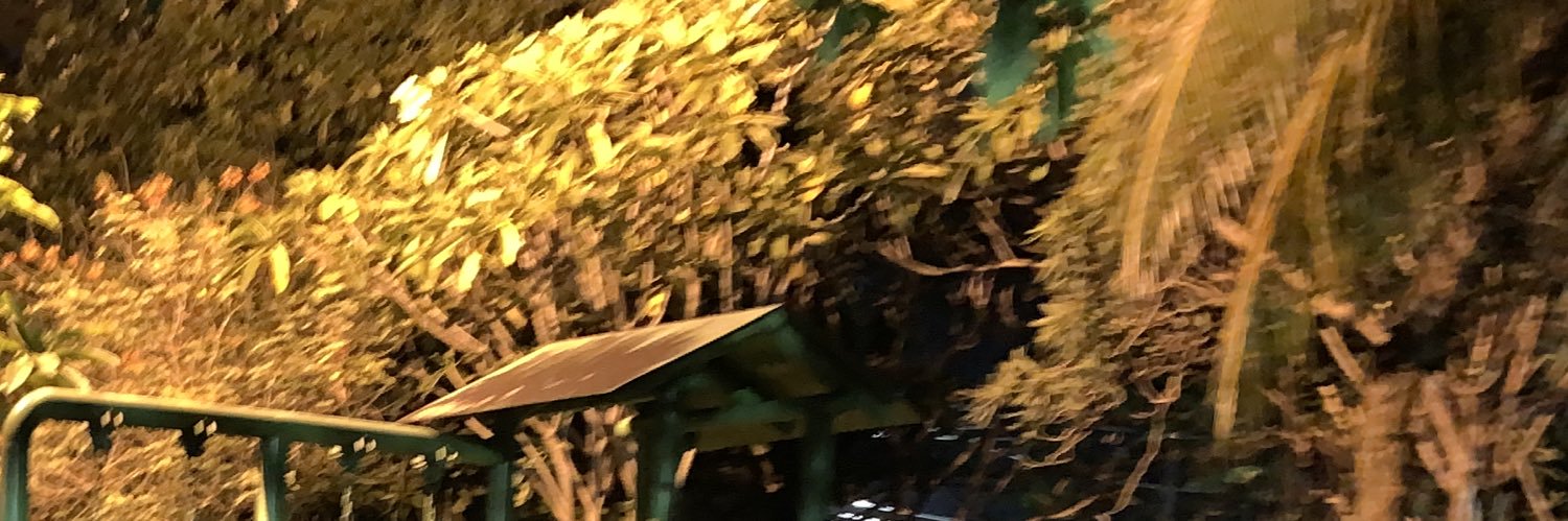 beduaan's profile banner image