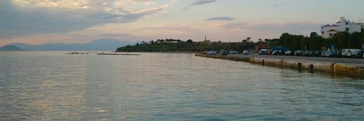 nerea_ci's profile banner image