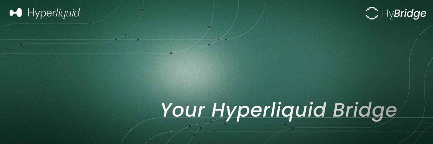 HyBridge's banner