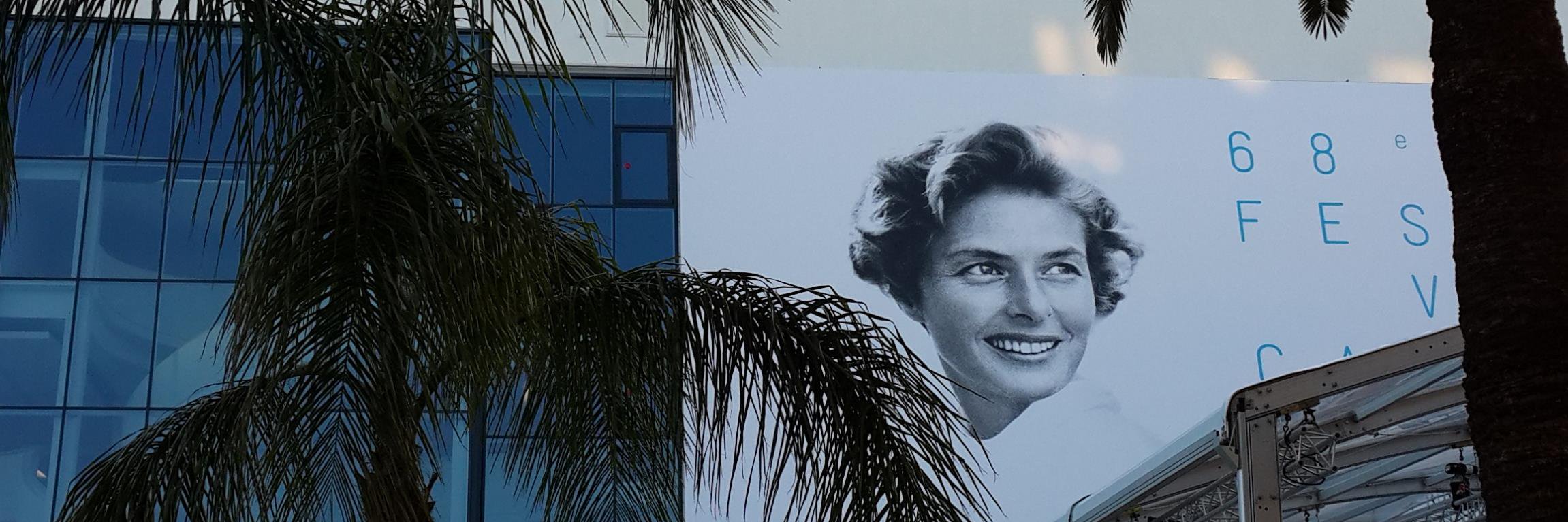 Fernando Juan Lima💚 banner