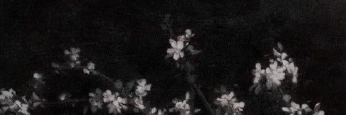 Brown 🍂 banner