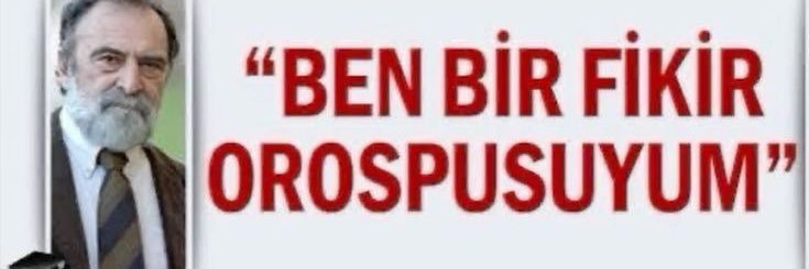 beste's banner