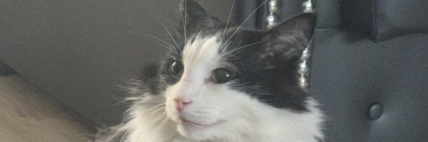 prof_robbo Profile Banner