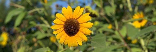 DCoad Profile Banner