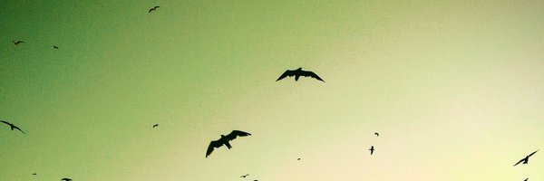 MehmetErikli Profile Banner