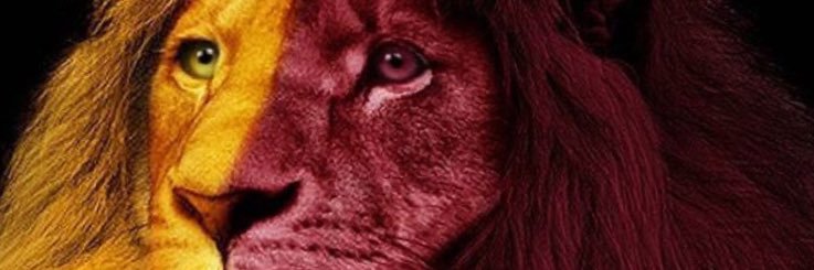serifoglu_77's profile banner image