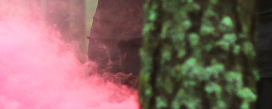 loveduchess's profile banner image