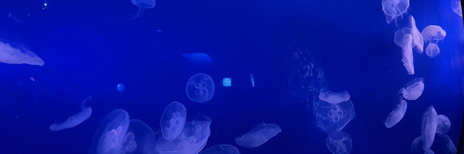 maingmaing's profile banner image