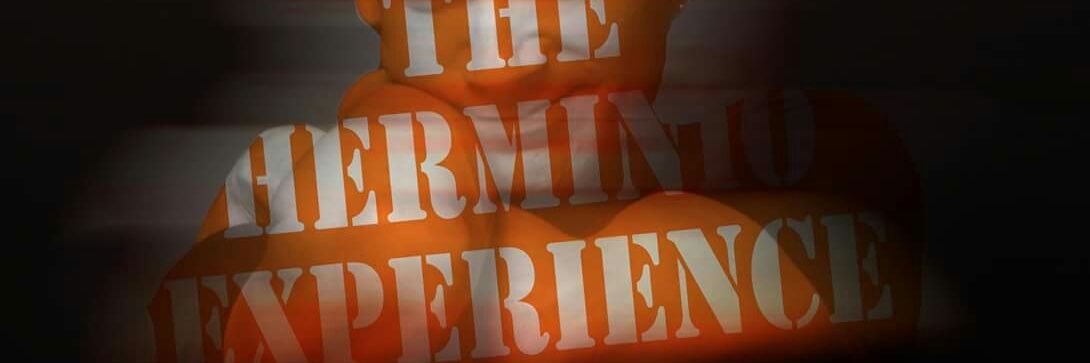 herminiothe4th's profile banner image