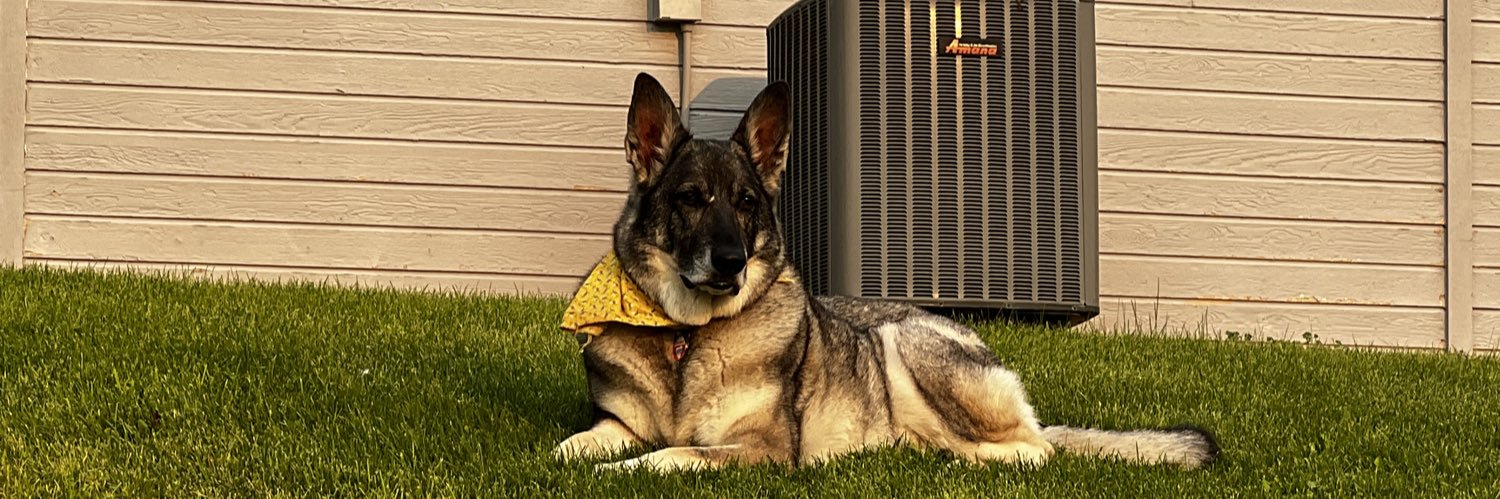 Becky Bryson ✝️🇺🇸 banner