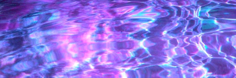 lydia 🏳️‍⚧️💜 banner