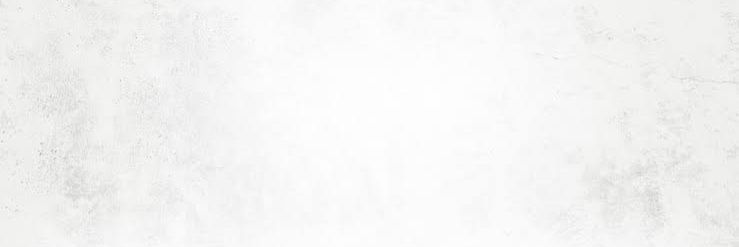 Rodris banner