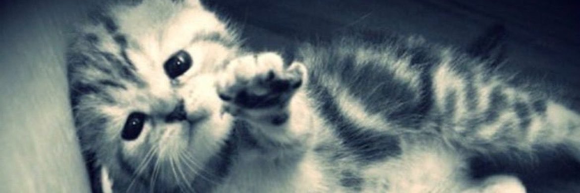 user12378161's profile banner image