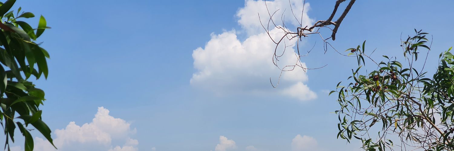 radumures's profile banner image