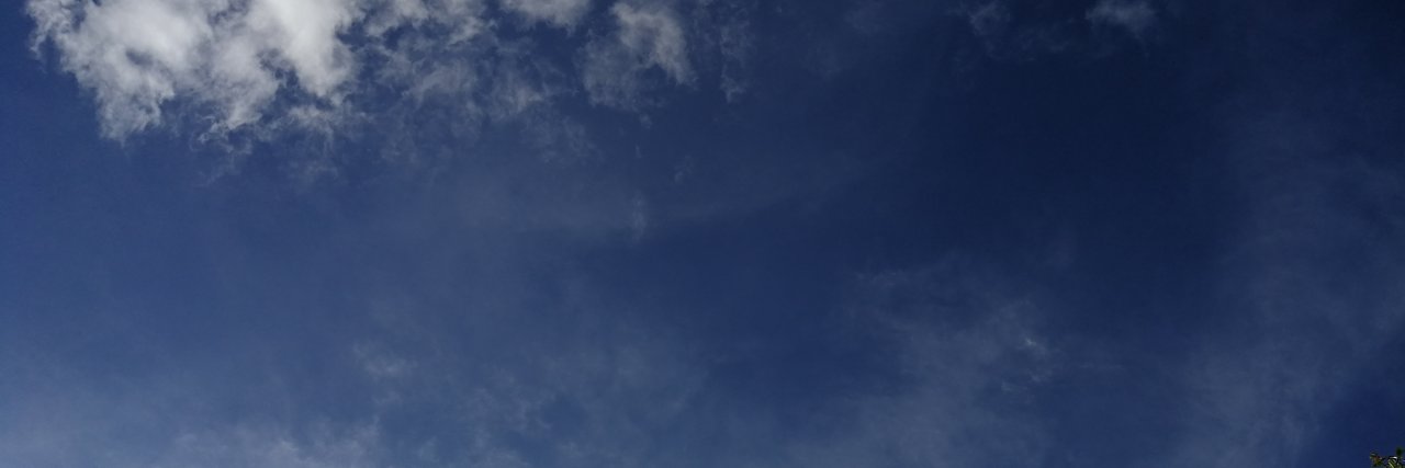 Anselmo Frizera Neto banner