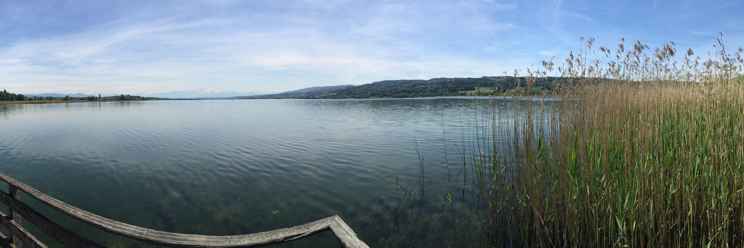 Gianluigi Sellitto banner