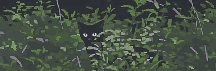 haidy ☾ banner