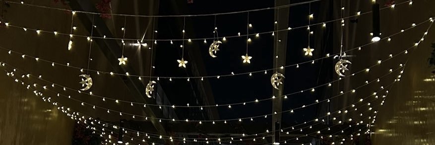 leen banner