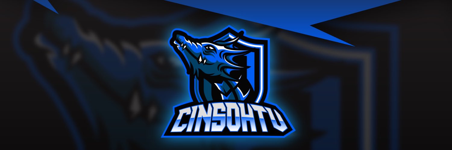 Cinsoh banner
