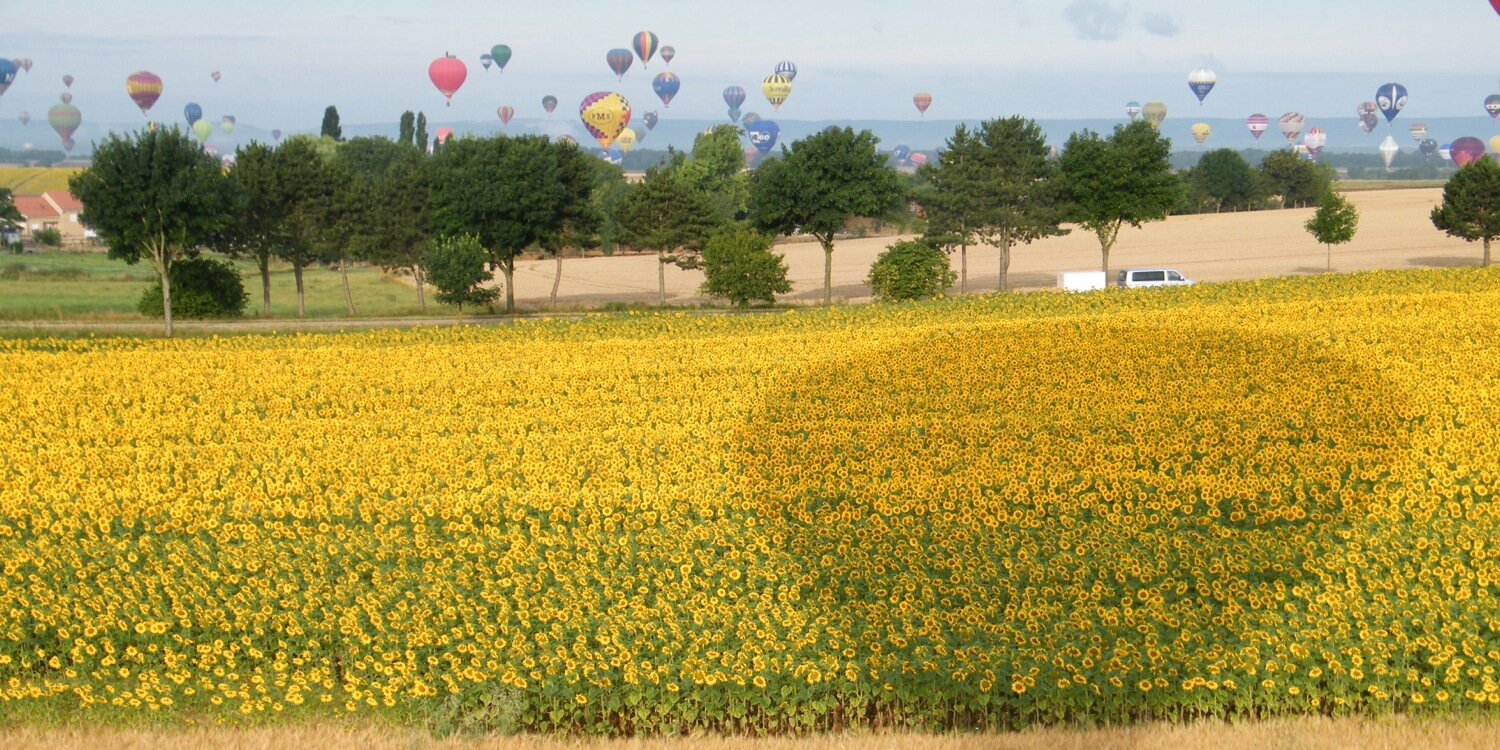 VIPballon's profile banner image