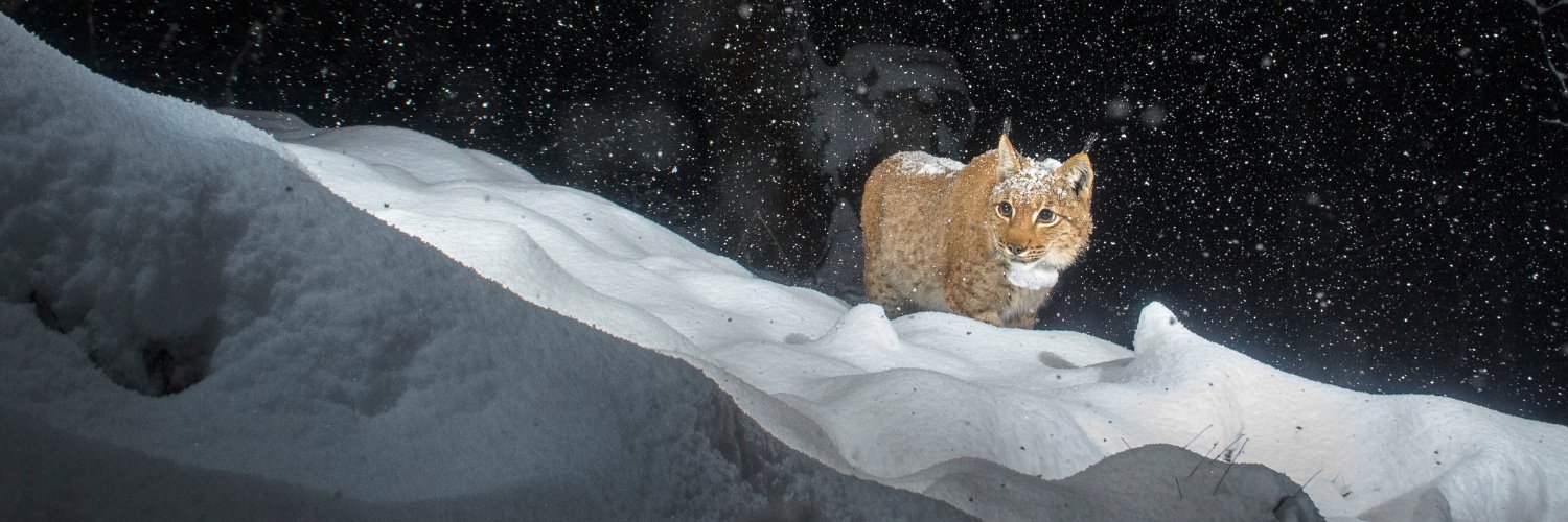 Pasaules dabas fonds banner