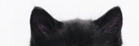 starvingmaee's profile banner image