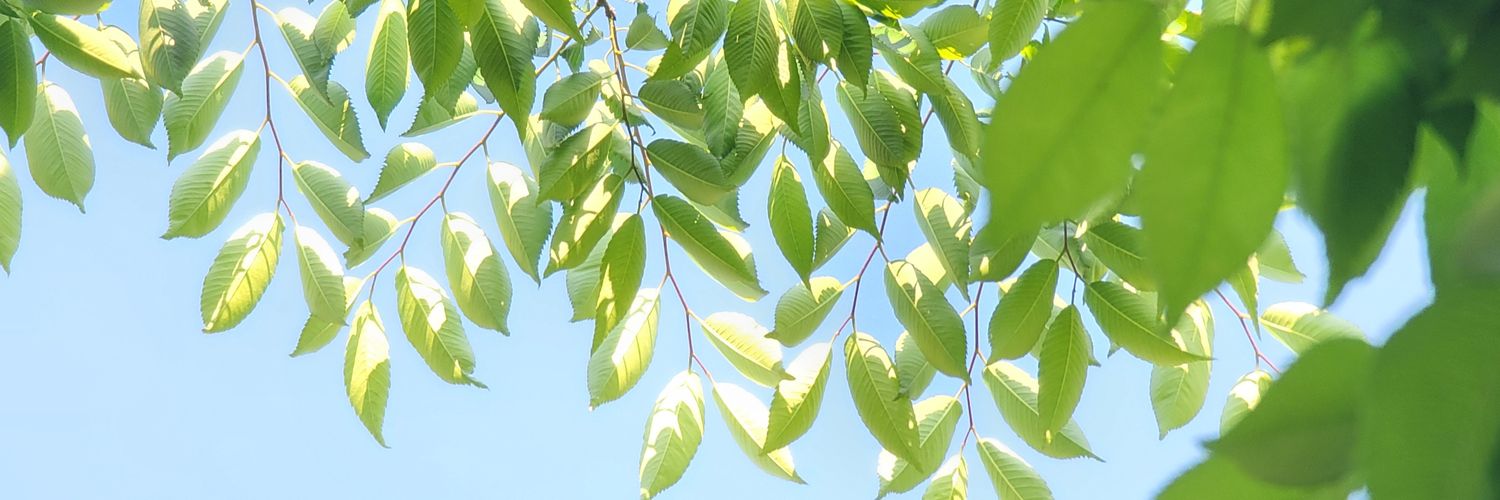 onyou_2's profile banner image