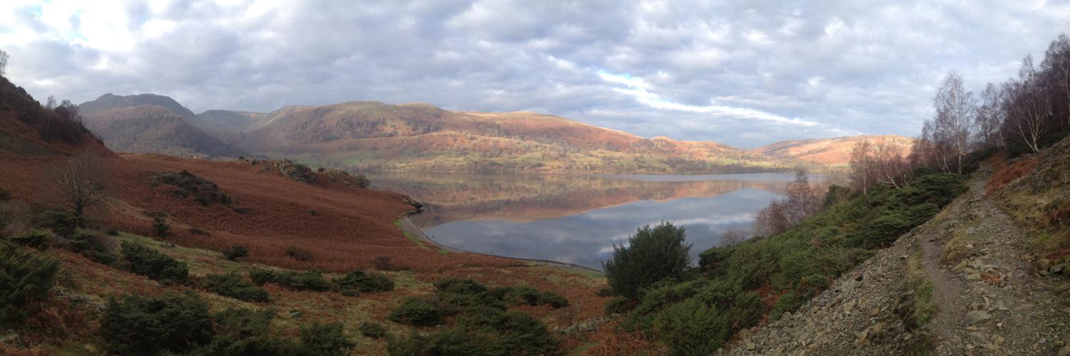 Rose Beaumont banner