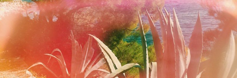 Jo banner