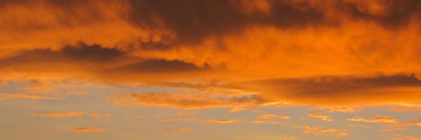 bouyzy Profile Banner