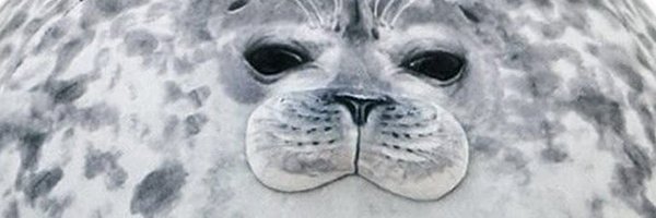 InternetIsStr8 Profile Banner