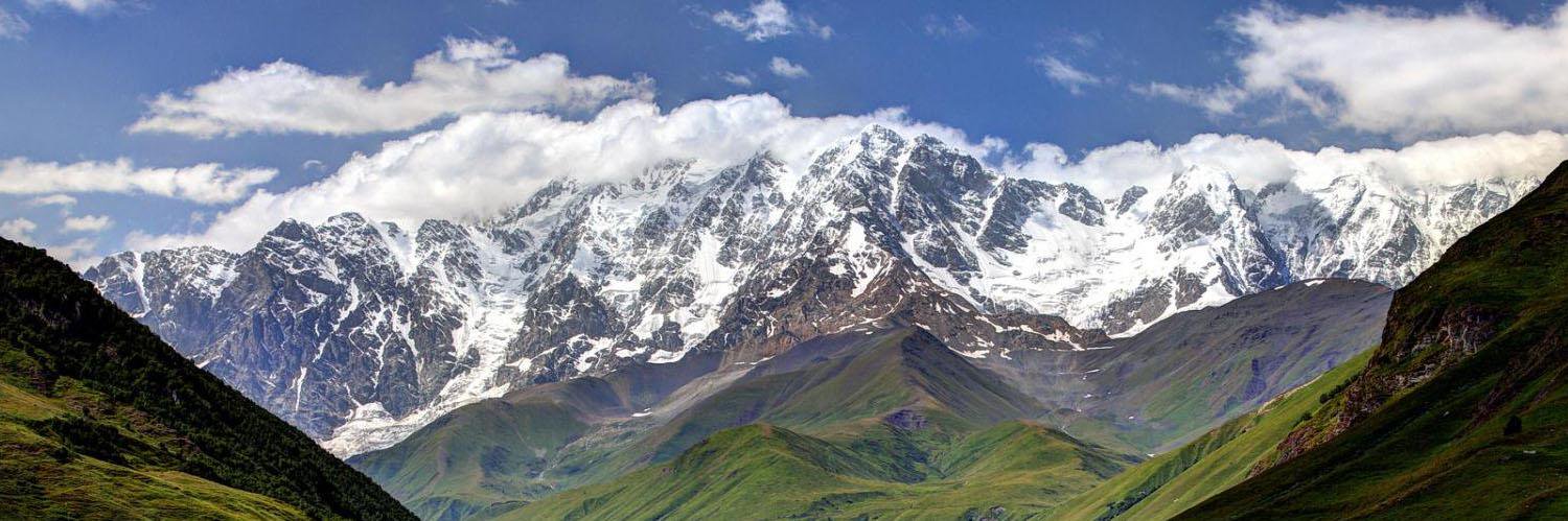 Petr Passinger banner