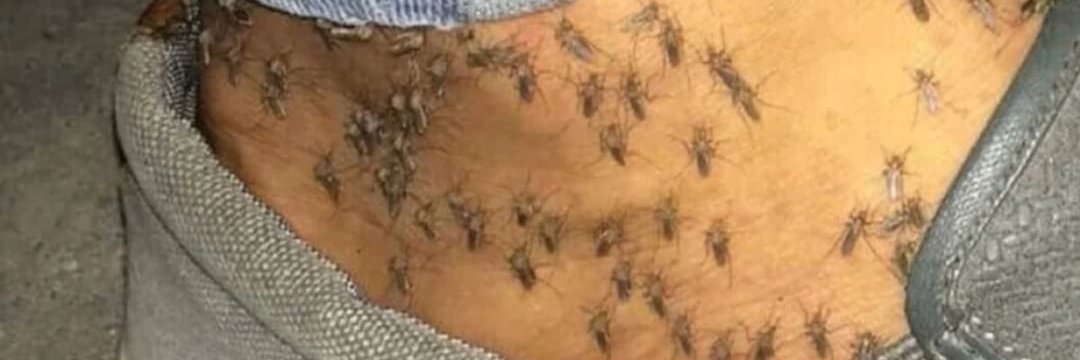 Rusty Shackleford banner