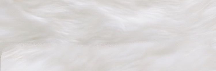 おそば banner