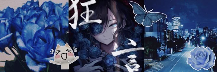 Shéa 🇮🇪 banner