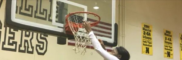 NevLadyHoops Profile Banner