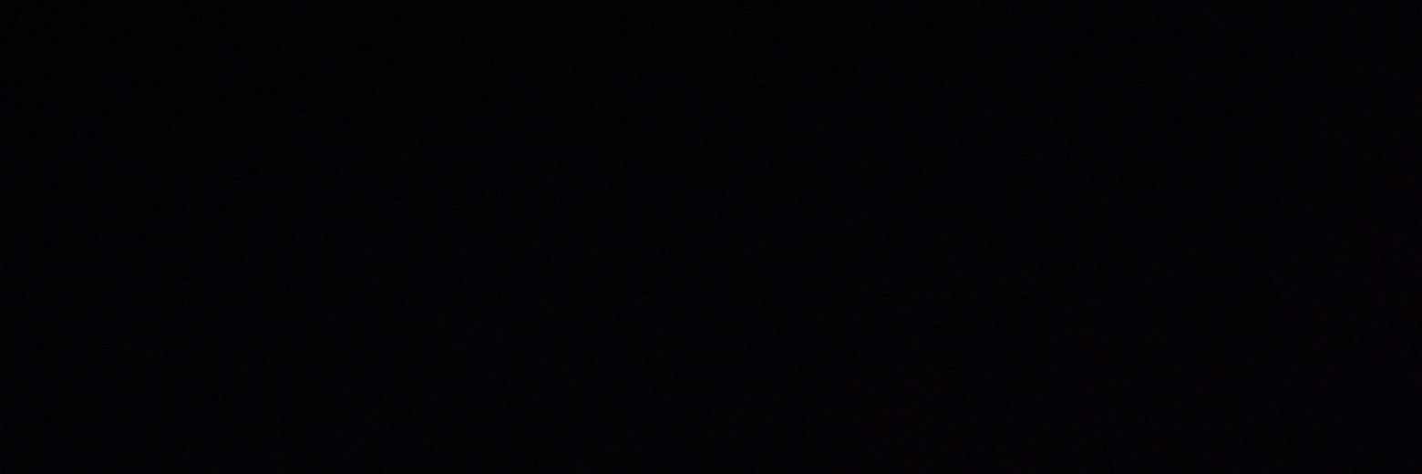 Elif banner
