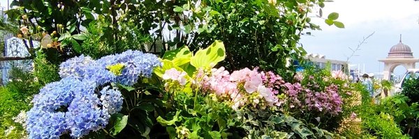 ikumiori119 Profile Banner