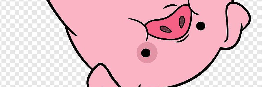 cashlller's profile banner image