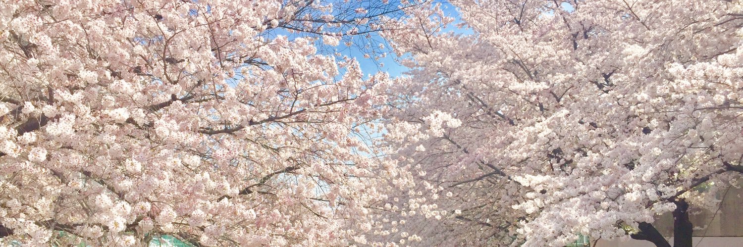 oku_smile's profile banner image