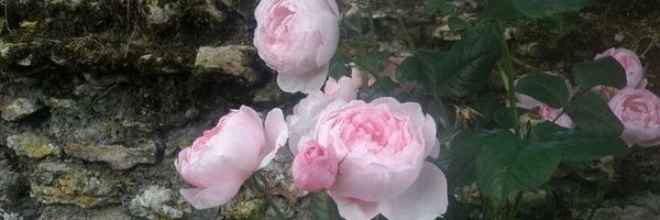 INWEIU Profile Banner