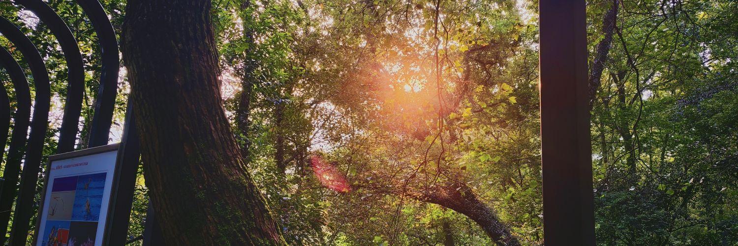 星灿长风v banner