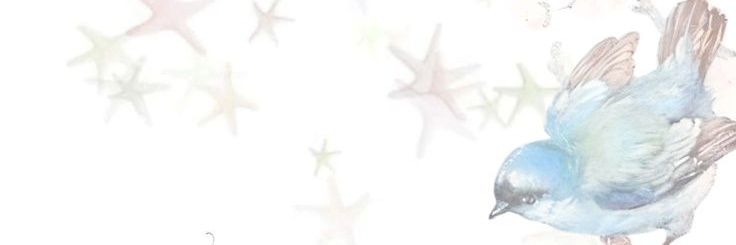 ZAIOI banner